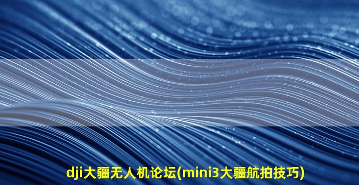 dji大疆无人机论坛(mini3大疆航拍技巧)