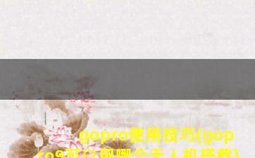 gopro使用技巧(gopro9可以用哪个无人机搭载)