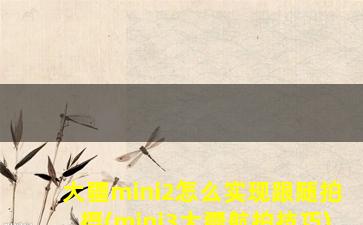 大疆mini2怎么实现跟随拍摄(mini3大疆航拍技巧)