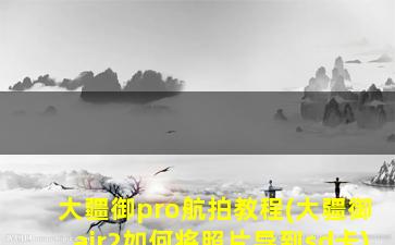 大疆御pro航拍教程(大疆御air2如何将照片导到sd卡)