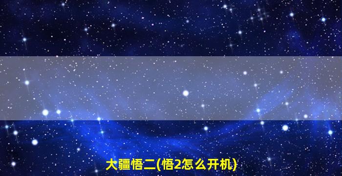 大疆悟二(悟2怎么开机)