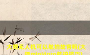 大疆无人机可以航拍故宫吗(大疆mini4pro航拍技巧)