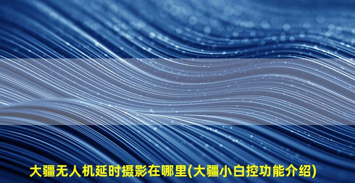 大疆无人机延时摄影在哪里(大疆小白控功能介绍)