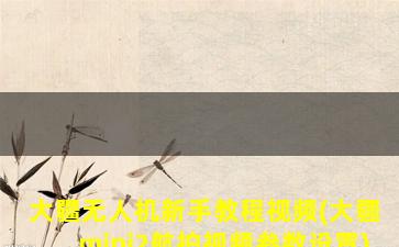 大疆无人机新手教程视频(大疆mini2航拍视频参数设置)