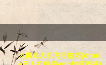 大疆无人机飞行技巧(drone无人机航拍app如何连接)